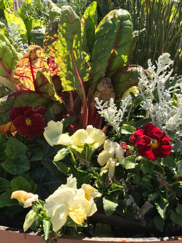 9C13572F-E36C-4488-9EB2-AC696B321F79