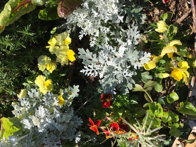 DE0C315E-423B-4477-8C17-7545004458D7