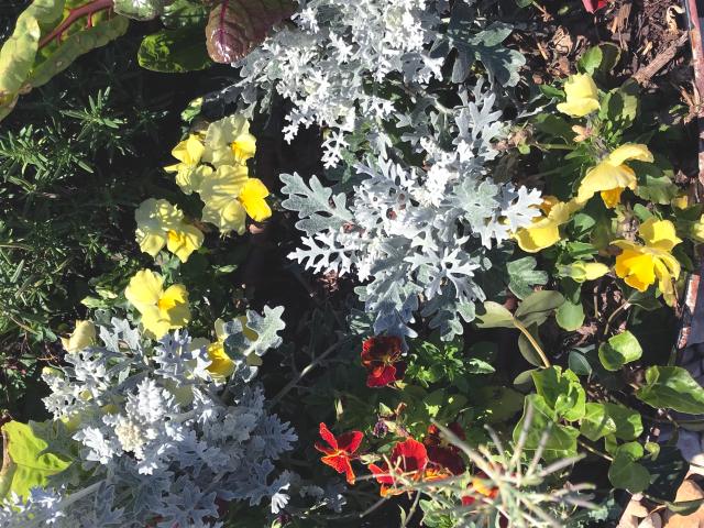 DE0C315E-423B-4477-8C17-7545004458D73